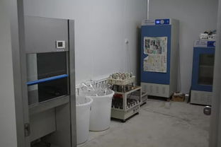 雙興新盛木耳菌包廠 優質菌包熱銷中，專業技術助力致富路