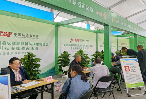 第三十屆中國楊凌農(nóng)業(yè)高新科技成果博覽會(huì)開幕，揭秘現(xiàn)代農(nóng)業(yè)技術(shù)咨詢新趨勢(shì)